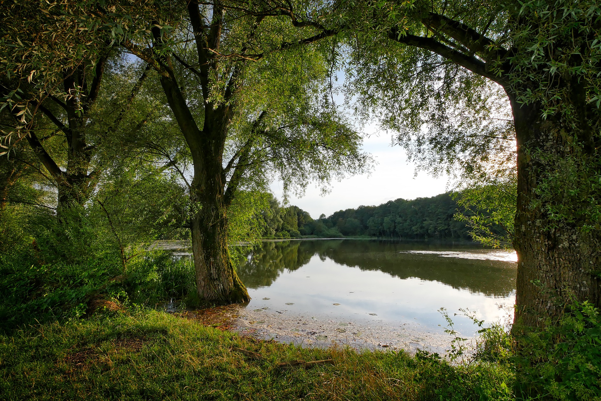 Angelschein Siegen_Fischereisee