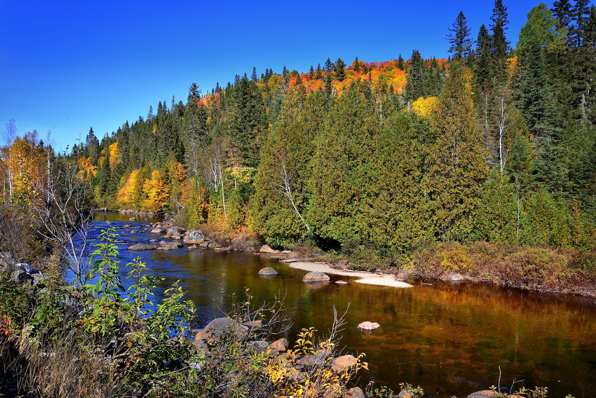 Angelschein Fuerth - Der Herbst beginnt